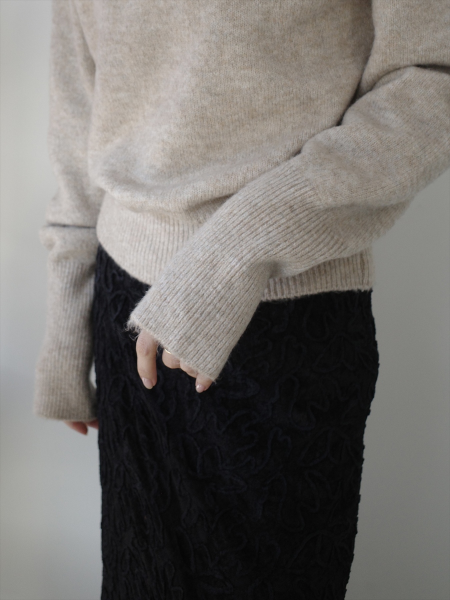 �J���[�o���G�[�V����