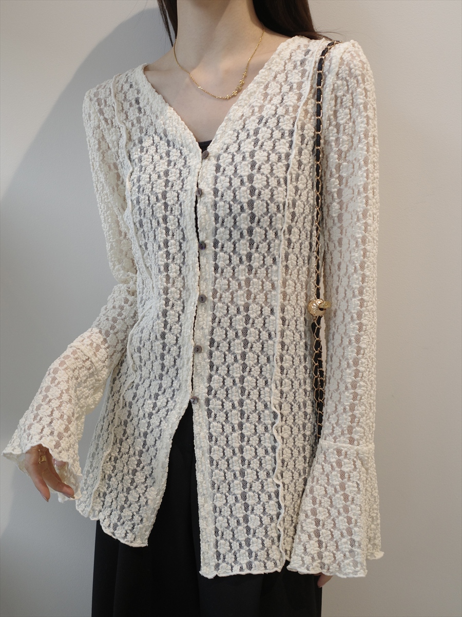 �J���[�o���G�[�V����