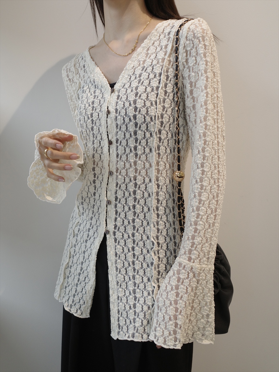 �J���[�o���G�[�V����