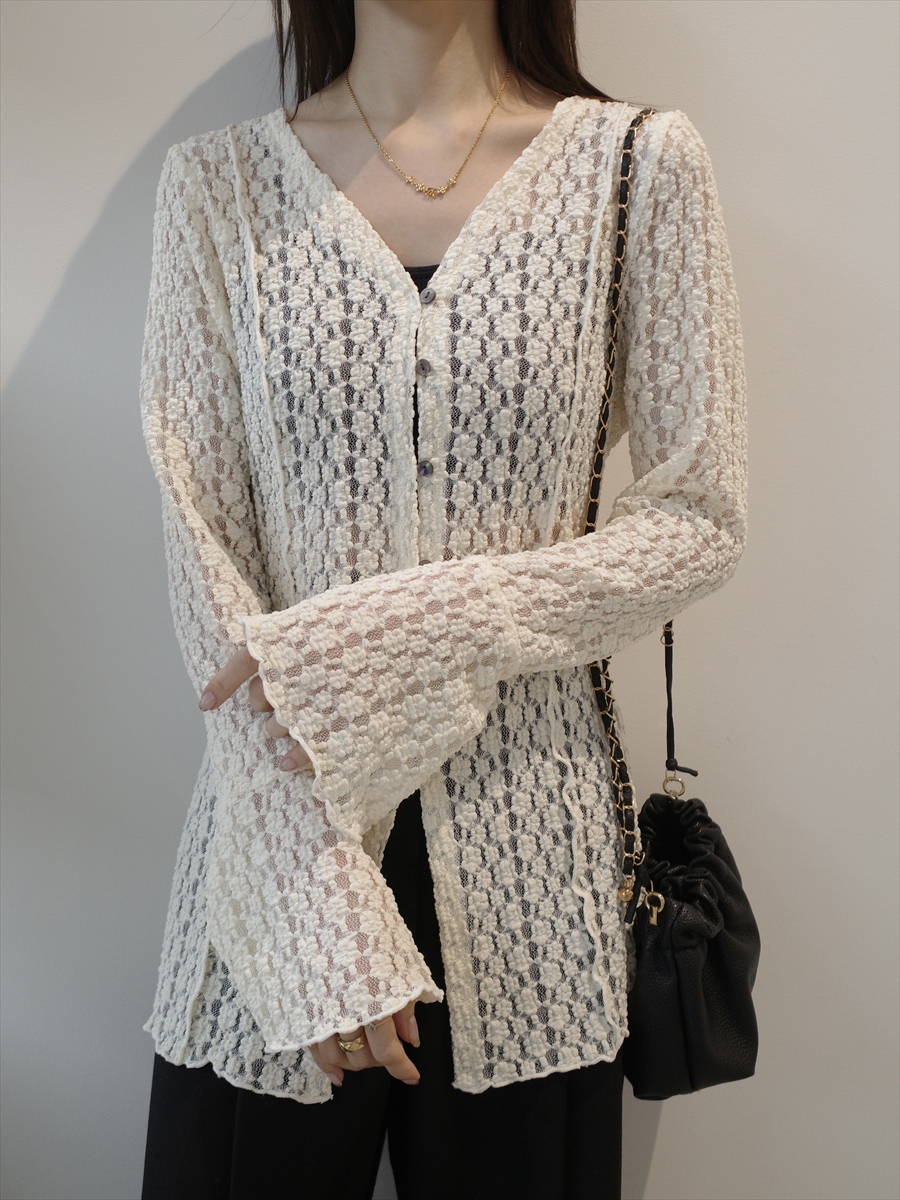 �J���[�o���G�[�V����