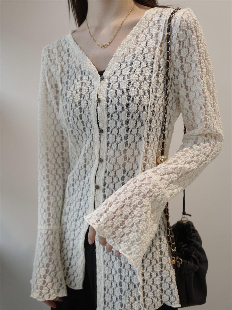 �J���[�o���G�[�V����