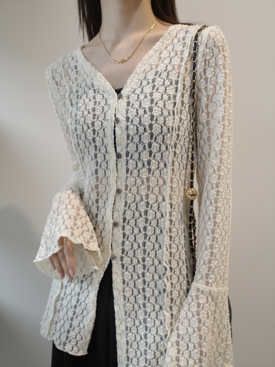 �J���[�o���G�[�V����