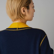 �J���[�o���G�[�V����